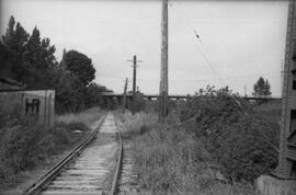 Olympic Portland Cement Company Track, Bellingham, Washington, undated