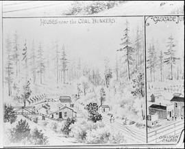 Houses at South Prairie, Washington, circa 1890.