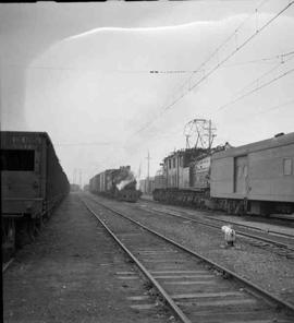 Pacific Coast Railroad freight train at Renton, Washington in 1951.