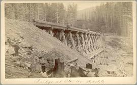 Northern Pacific bridge at Stampede, Washington Territory, in 1887.