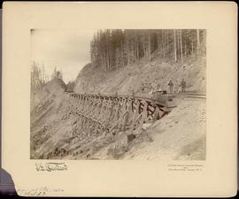 Northern Pacific bridge at Stampede, Washington Territory, in 1887.