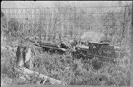 May Creek Logging Company Steam Locomotive Number 2 Near Renton, Washington, circa 1925.