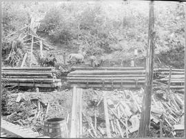 Everett & Monte Cristo Railway Log Flat Car Number 122162, circa 1915.