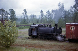 Peninsula Terminal Company steam locomotive 104 at North Portland, Oregon in 1963.