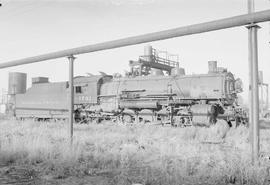 Northern Pacific steam locomotive 1731 at Auburn, Washington, in 1955.