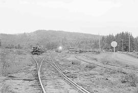 Weyerhaeuser Company Yard at Pe Ell, Washington in June 1975.