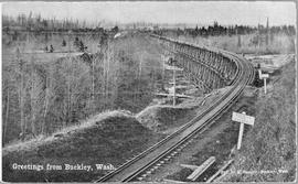 Northern Pacific bridge at Buckley, Washington, circa 1905.