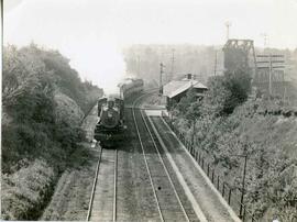 Great Northern Railway steam locomotive 1459 at Ballard, Washington, undated.