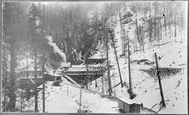 Northern Pacific construction site at Martin, Washington Territory, circa 1887.