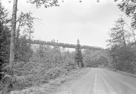 Burlington Northern log train at Lester, Washington in 1970.