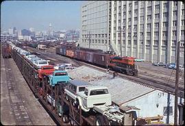 Stacy Street yard in Seattle, Washington, circa 1965.