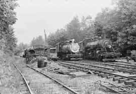 Rayonier And Weyerhaeuser Steam Locomotives at Snoqualmie, Washington in June, 1970.