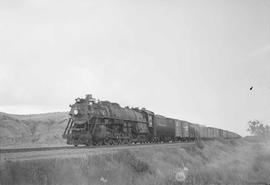 Northern Pacific steam locomotive 2654 at Glendive, Montana, in 1953.