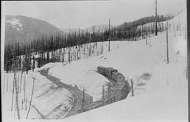 Northern Pacific at Stampede Pass, Washington Territory, circa 1887.