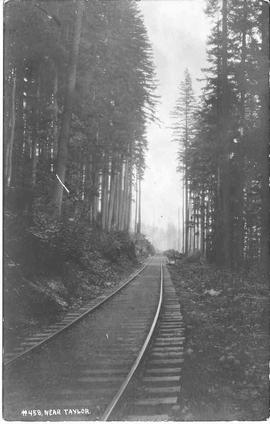 Columbia and Puget Sound Railroad track near Taylor, Washington, circa 1915.