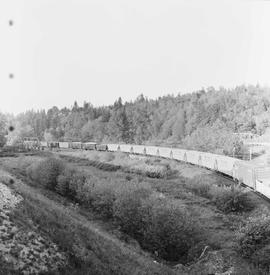 Northern Pacific freight train near East Auburn, Washington, in 1967.