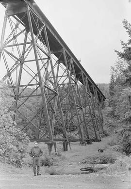 Burlington Northern viaduct at Weston, Washington, in 1970.