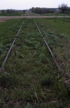 Northern Pacific's abandoned Marion Branch track at Hastings, North Dakota in 2003.