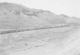 Northern Pacific steam locomotive 5003 at Muir, Montana, in 1953.