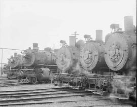 Northern Pacific steam locomotive 1053 at Tacoma, Washington, in 1956.