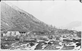 Houses  at Lester, Washington, circa 1912.