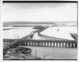 Seattle Electric Company Track, Seattle, Washington, circa 1900