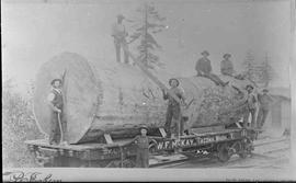 W.F. Mckay Log Car Number 101 at Tacoma, Washington, circa 1888.