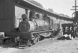 White River Lumber Steam Locomotive Number 2 at Enumclaw, Washington, circa 1948.