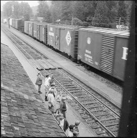 Scout troop watch Northern Pacific at Lester, Washington, on July 09, 1967.