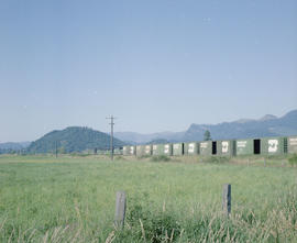 Burlington Northern freight train near Veazey, Washington in 1980.