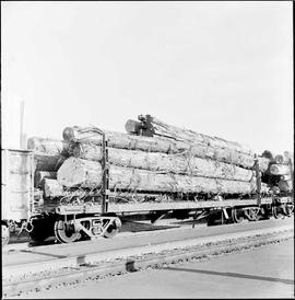 Northern Pacific Railroad Log Flat Car Number 121178 at Auburn, Washington in August, 1967.