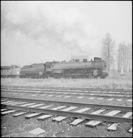 Union Pacific Railroad steam locomotive number 7014 at Tacoma, Washington, undated.