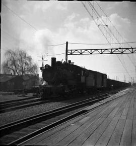 Pacific Coast Railroad freight cars at Renton, Washington in 1951.