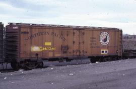 Western Fruit Express 41-foot, ice-refrigerator car 704771 at Pasco, Washington, in 1981.