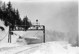 Northern Pacific rotary snow plow number 42 at Stampede, Washington in 1972.