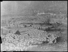 Northern Pacific hotel at Green River Hot Springs, Washington, circa 1890.