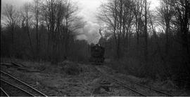 Pacific Coast Railroad steam locomotive number 16 at Maple Valley, Washington, circa 1948.