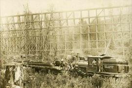 May Creek Logging Company freight train near Renton, Washington, in 1912.