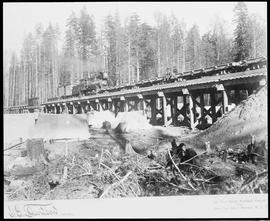 Northern Pacific bridge number 15 at Cabin Creek, Washington Territory, 1887.