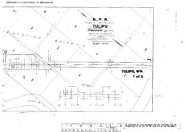 Plat Map of Northern Pacific Facilities at Tulips, Washington, 1914