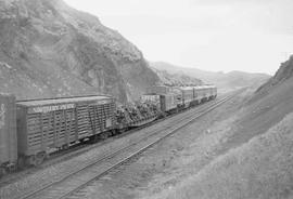 Northern Pacific diesel locomotive 7000 at Muir, Montana, in 1954.