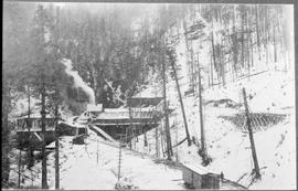 Northern Pacific station at Martin, Washington, in 1887.