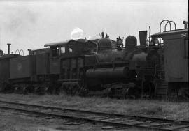 Weyerhaeuser Timber Company Steam Locomotive Number 102, circa 1955.