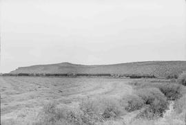 City of Prineville Railway Diesel Locomotives Numbers 102 and 101 at Prineville, Oregon, circa 1980.