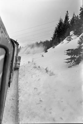 Northern Pacific rotary snow plow number 42 at Stampede, Washington in 1972.