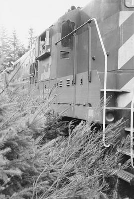 Burlington Northern freight train at DuPont, Washington in 1975.