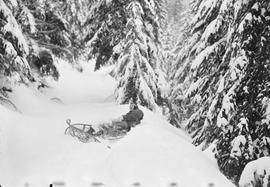 Snowshoer at Stampede, Washington, on in 1959.