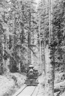 Northern Pacific steam locomotive 1 at Polson Camp, Washington, circa 1915.