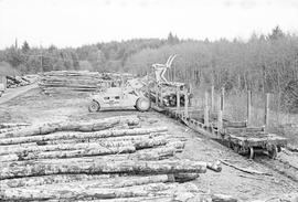 Burlington Northern log cars at Moclips, Washington in 1975.