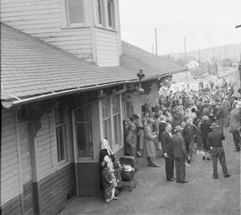 Northern Pacific mixed train number 594 near Pe Ell, Washington, in 1954.